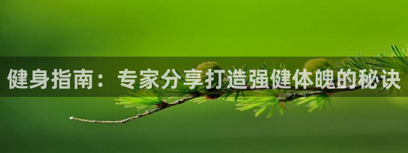 QY球友会
